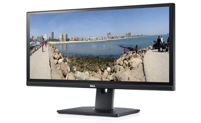 29" Dell U2913WM 2560x1080/21:9 HDMI/DVI/DP/VGA